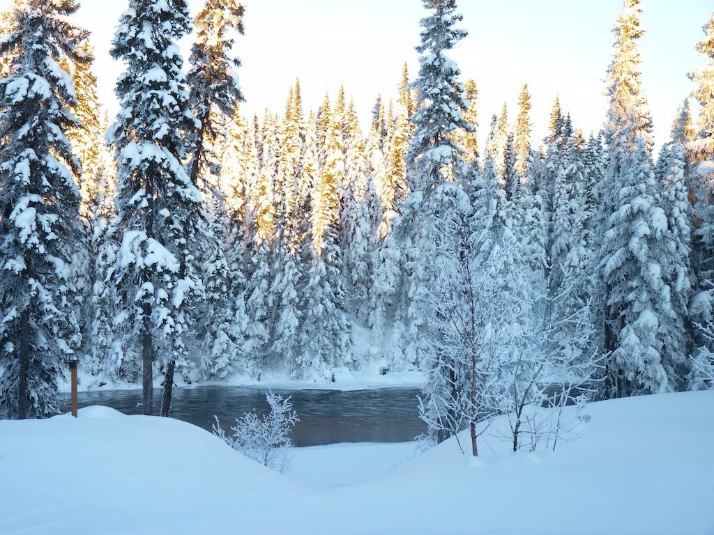 Gite De La Riviere Bed & Breakfast Chibougamau Luaran gambar