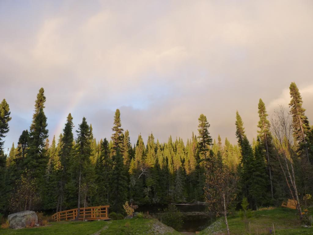 Gite De La Riviere Bed & Breakfast Chibougamau Luaran gambar